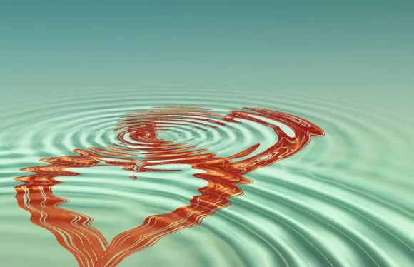 BetCoco Kasino Support